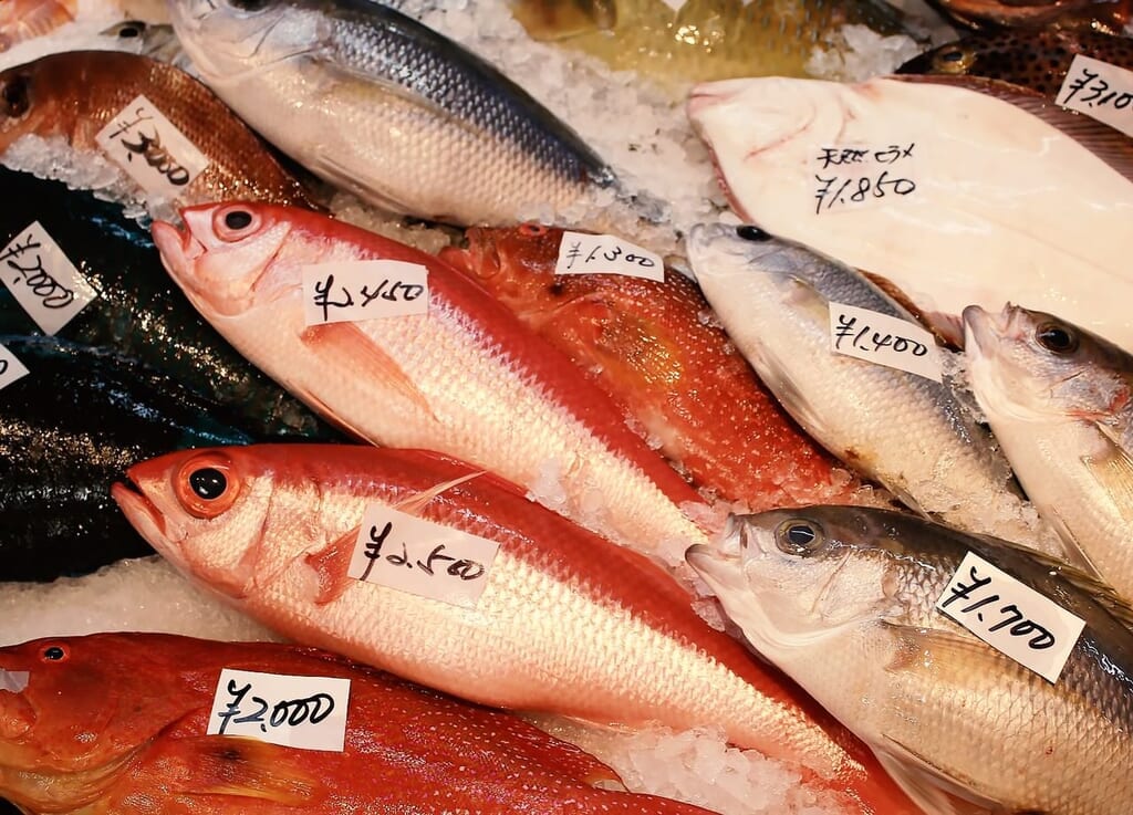 鮮魚