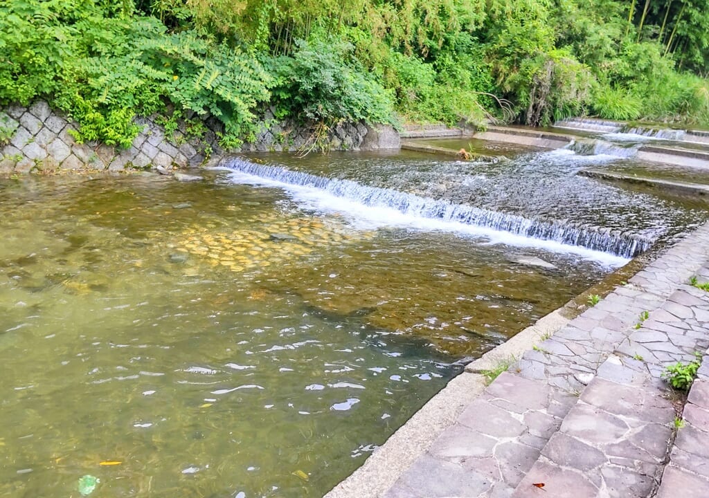 諏訪梅林を流れる鮎川