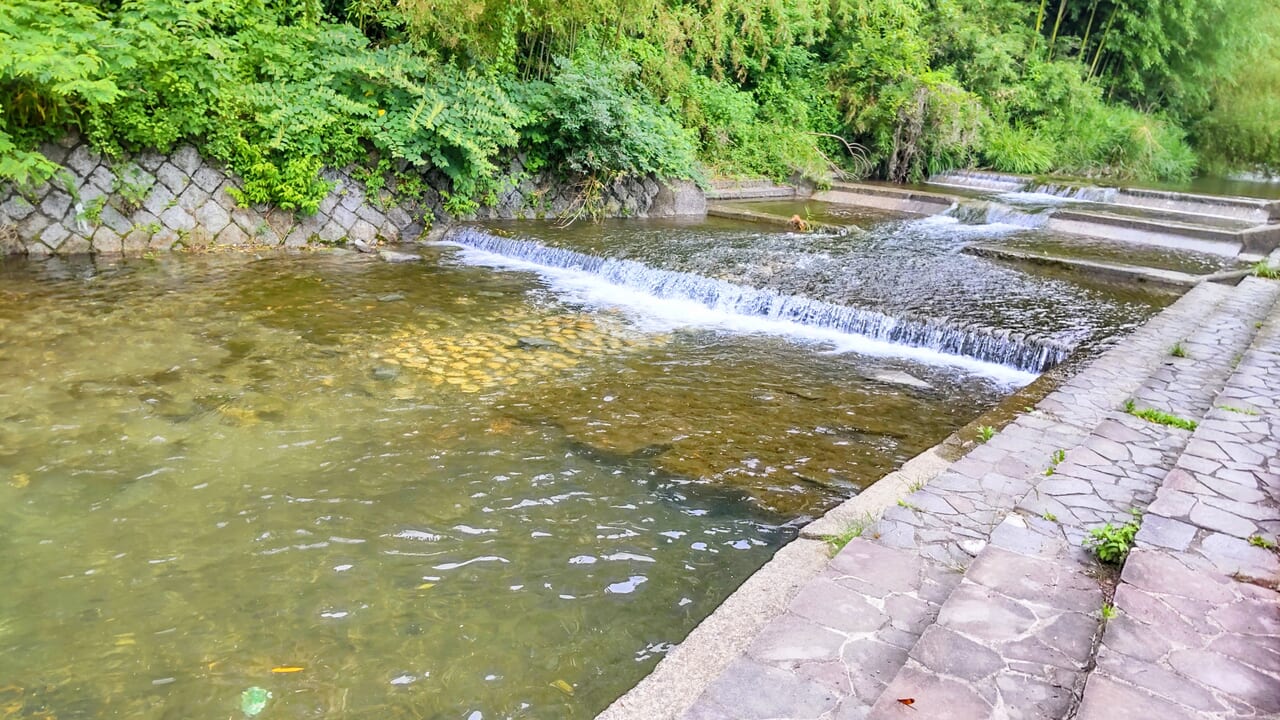 諏訪梅林を流れる鮎川