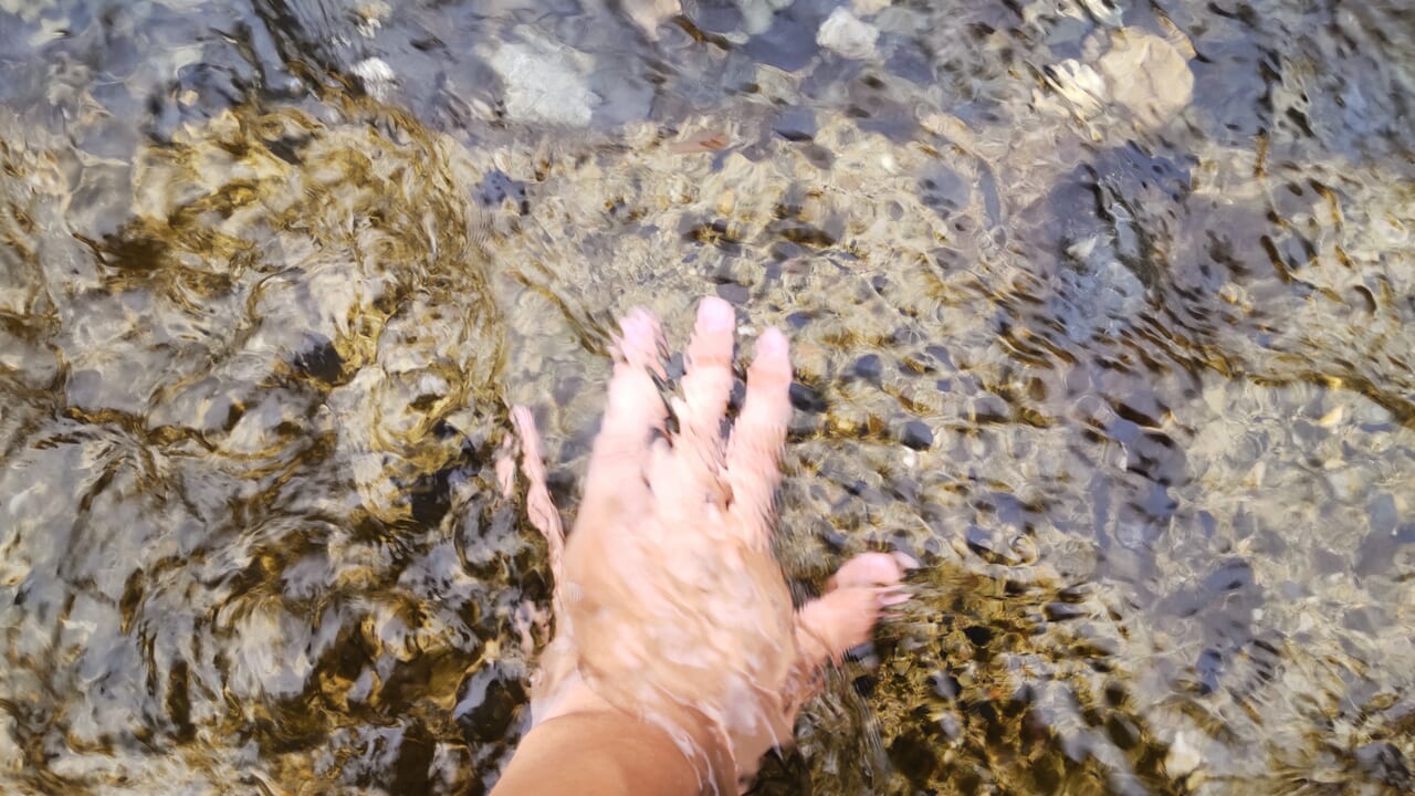鮎川の透明度の高い水質