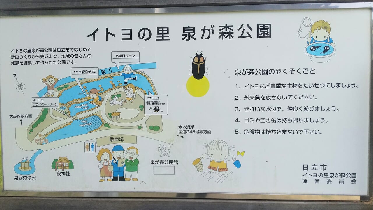 イトヨの里イズミが森公園の案内図