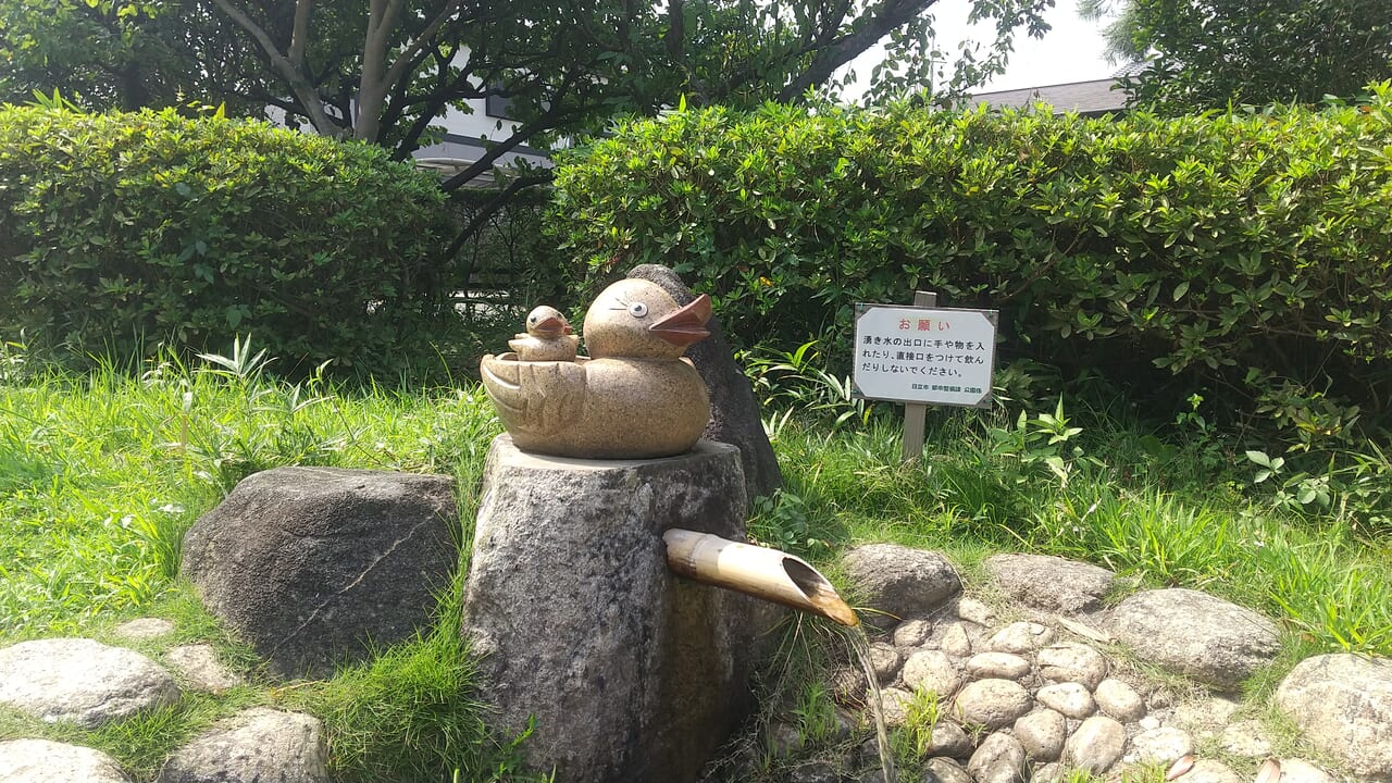 イトヨの里の湧き水