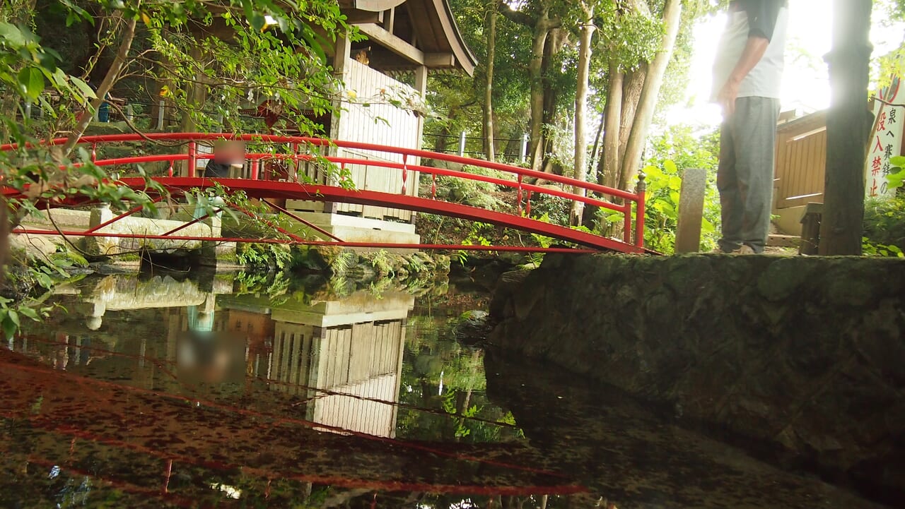 泉神社の赤い橋