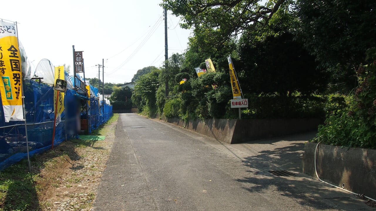 大都ぶどう園前の道路